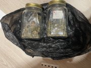 Хотели продавать наркотики через интернет: уголовное дело рассмотрит суд в Апатитах