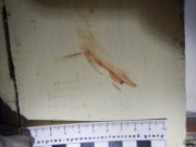 Убил за оскорбления пассии житель Зеленоборского 