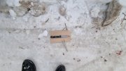 Убивший в подъезде мужчину мончегорец сядет на 10 лет в колонию