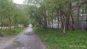 В Кировске штормовой ветер вырвал двери и деревья