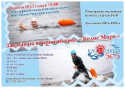 Заплыв «Белое Море» пройдет в Кандалакшском заливе
