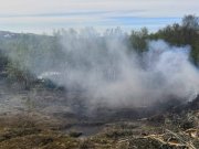 Торфяной пожар тушили в Никельском лесничестве