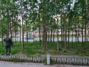 Задержан предполагаемый убийца ребенка в Мончегорске