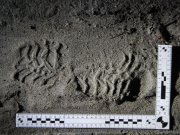 Братьям-грабителям вынесли приговор в Кандалакше