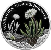 Изображение одуванчика из Кандалакши украсило коллекционные монеты