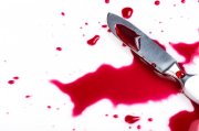 Зарезал и спрятал тело приятеля: 11 лет проведет в колонии житель Ловозера