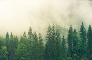 Пропавшего мальчика из Кандалакши могли убить