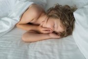 Лишился сна покусанный псом мальчик в Никеле