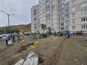 Озеленили двор жители Кировска