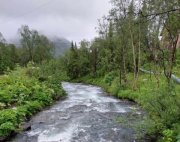 Четверых грибников-"потеряшек" вывели из леса спасатели на "серебрянке"