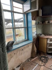 Вандалы разгромили приют для животных в Североморске