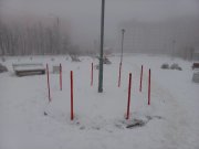 Подозрительные колышки появились на улицах Кировска