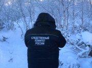 Без внешних признаков насильственной смерти: нашли в лесу пропавшего жителя Колы