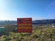 Незаконную свалку строительного мусора обнаружили в Тайболе