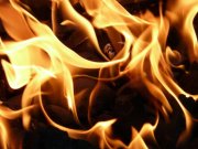 Собака погибла в пожаре в Апатитах