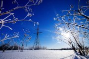 За пять лет раздельного сбора отходов Кольская АЭС передала на утилизацию более 1,5 тонны батареек