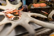 «Вкус Гипербореи»: повара сразятся в мастерстве в Ковдоре
