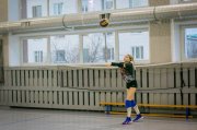 Состязания по боксу, плаванию и волейболу стартуют в Мурманской области