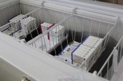 Очередная партия вакцины «Спутник V» поступила в Мурманскую область