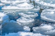 Дрейфующий лед замечен в Кольском заливе