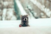 Воспитательницу из детсада Североморска наказали за обращение с детьми