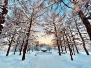 Активный циклон принесет снегопады в Мурманск