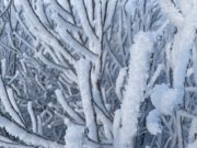 125% осадков выпало в Мурманске
