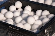 Игры в снежки впервые стали частью соревнований Праздника Севера