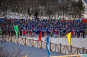 Олимпийские призеры пообщаются с мурманчанами в прямом эфире