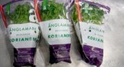 Кинза осталась на российско-норвежской границе