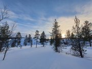 Теплый солнечный вечер пятницы ждет Мурманск