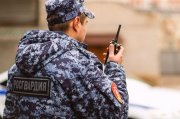 Кричал и выламывал дверь детского сада агрессивный мужчина в Мурманске