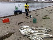 За треской в Териберку приехали сотни туристов