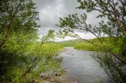 Ловить горбушу в промышленных целях можно на 16 участках Белого моря