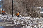 Не будет субботников завтра в Мурманской области