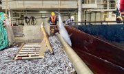 Рыбаки и губернатор Мурманской области добились обнуления НДС для судоремонта