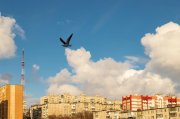 Ветрено будет в выходные в Мурманской области