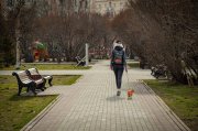 До +20° в воскресенье в Мурманской области