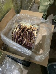 Кустарный крабовый цех обнаружили в Кольском районе