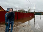 Подтопило 9 приусадебных участков на берегу реки Колы