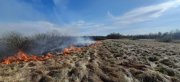 Горела сухая трава в Апатитах и лес в Кандалакшском районе