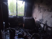 Погиб мужчина и спасены женщина с тремя детьми при пожаре в Апатитах