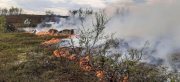 18 га леса обгорело в Мурманской области