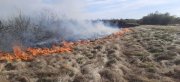 Горели лес и сухая трава в Мурманской области