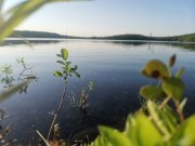 Снова потеплеет до +23° в Мурманской области
