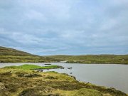 Погладить медвежат с медведицей решили туристы в Териберке