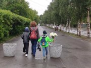 Региональная программа по повышению рождаемости утверждена в Мурманской области