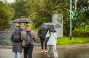49% месячной нормы осадков выпало в Мурманске