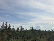 Жгучая жара сегодня днем в Мурманской области