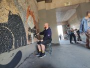 Милые котики «спрятались» в арке мурманского дома
